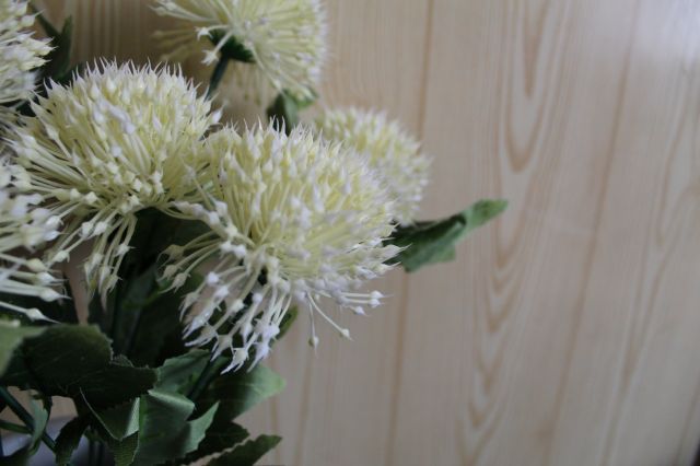 Wyzwanie FOTOGRAFICZNE  - Sierpień ! :) 