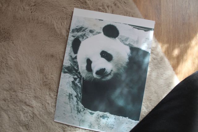 Wyzwanie FOTOGRAFICZNE  - Sierpień ! :) 