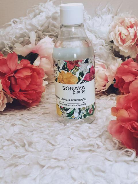 Soraya plante esencja tonizująca