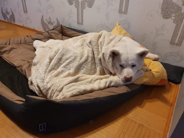 Wyzwanie FOTOGRAFICZNE  - Sierpień ! :) 