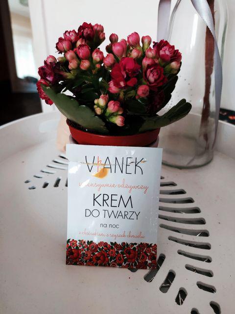Vianek Krem do twarzy na noc, Seria pomarańczowa, Odżywczy