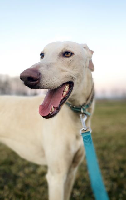 Wyzwanie FOTOGRAFICZNE  - Sierpień ! :) 