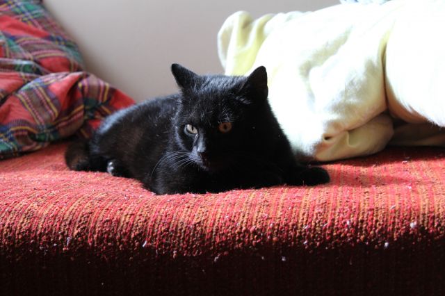 Wyzwanie FOTOGRAFICZNE  - Sierpień ! :) 