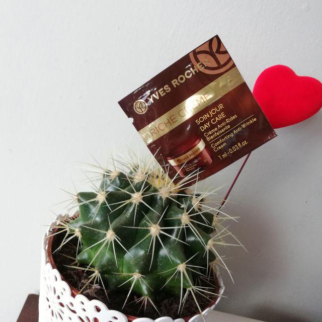Yves Rocher Riche Creme, Krem pod oczy, Przeciwzmarszczkowy, Regenerujący