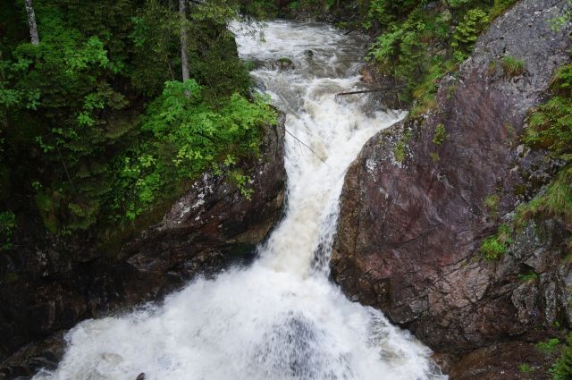 Wyzwanie FOTOGRAFICZNE  - Sierpień ! :) 