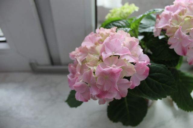 Wyzwanie FOTOGRAFICZNE  - Sierpień ! :) 