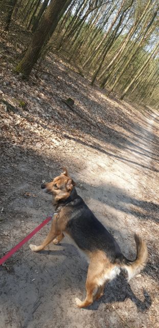 Kulturalne narzekanie na rzeczywistość! Uwaga - zawiera offtopy!