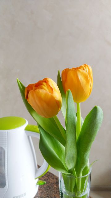 Jestem szczęśliwa bo..