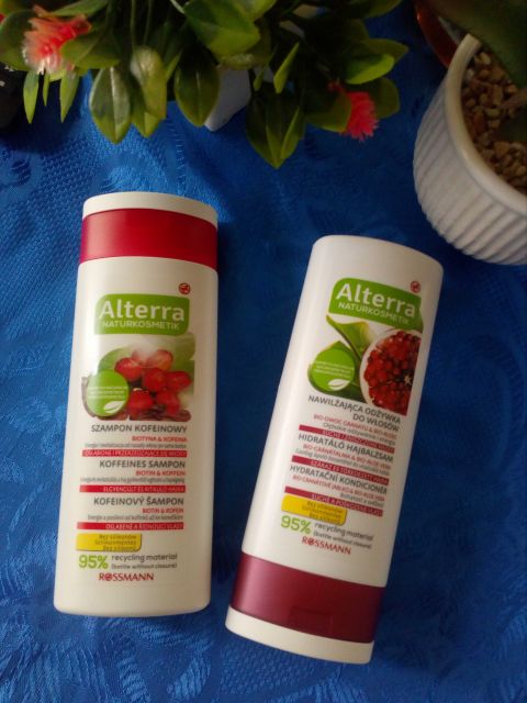 Zestaw Alterra (szampon i odżywka) 
