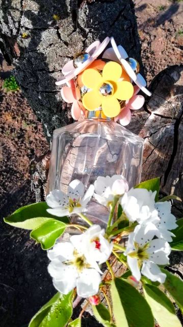 Marc Jacobs Daisy Eau So Fresh 