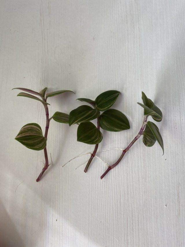 Prywatne wymiany, pokaż co masz 