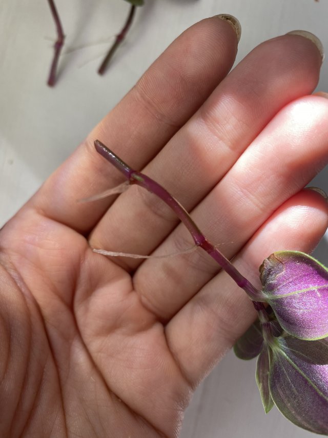 Prywatne wymiany, pokaż co masz 