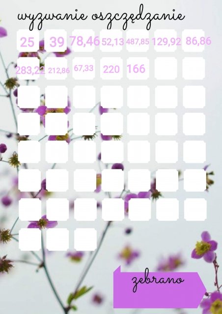  WYZWANIA FINANSOWE💸