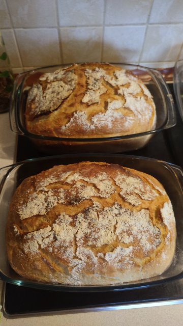 Jestem szczęśliwa bo..