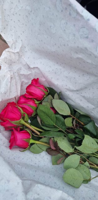 Jestem szczęśliwa bo..