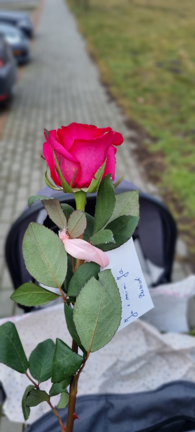 Jestem szczęśliwa bo..