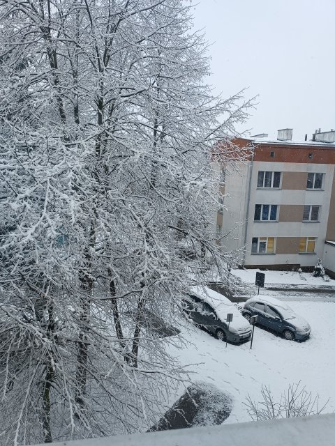 Kulturalne narzekanie na rzeczywistość! Uwaga - zawiera offtopy!