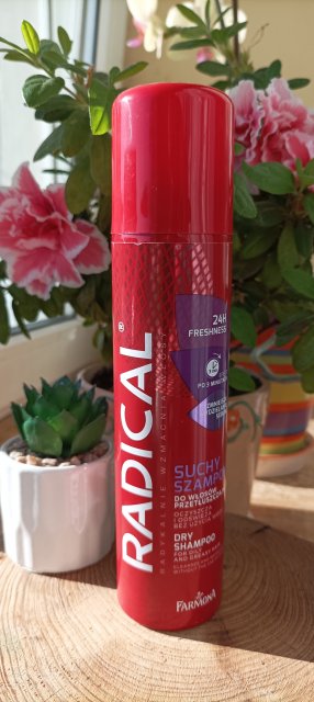Radical Suchy szampon do włosów, Do włosów tłustych, Pozbawionych objętości