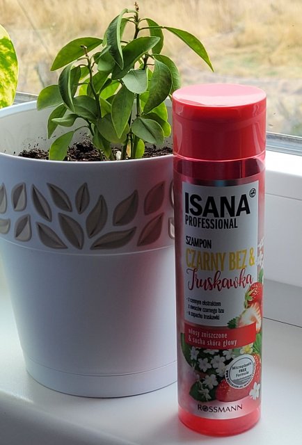 Isana Professional, Szampon do włosów, Czarny Bez & Truskawka