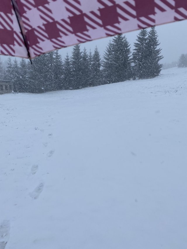 Kulturalne narzekanie na rzeczywistość! Uwaga - zawiera offtopy!