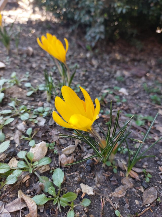 Jestem szczęśliwa bo..