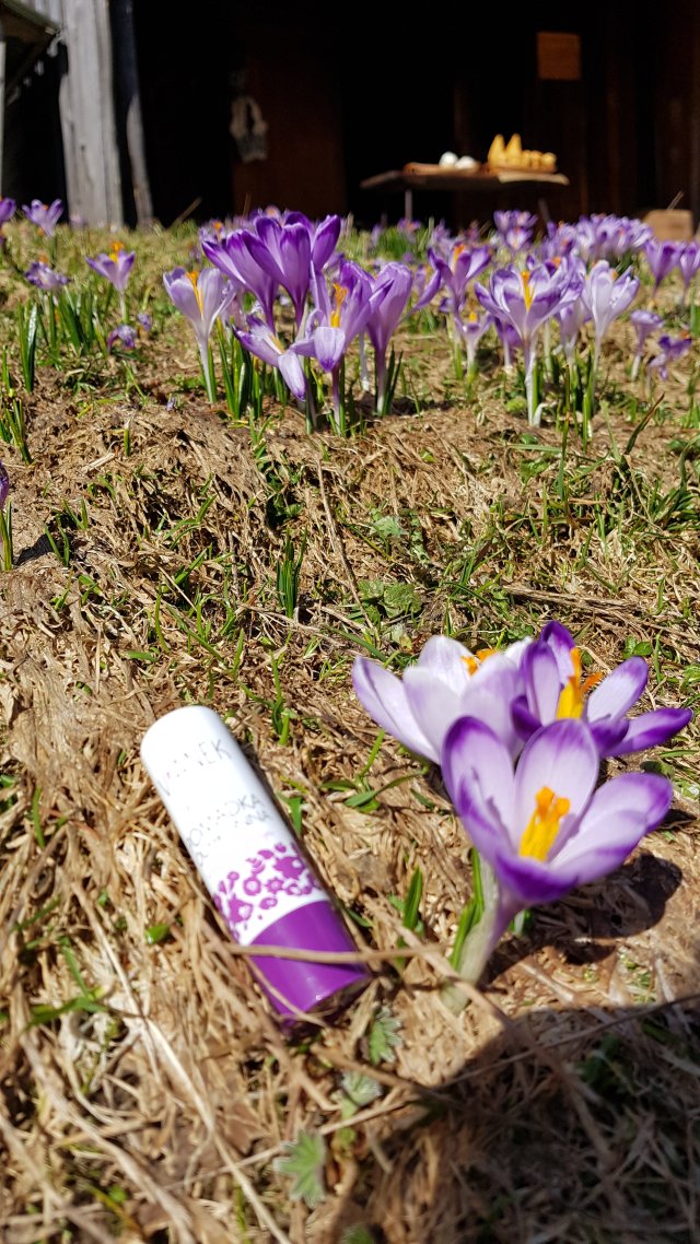 Sylveco Vianek, Pomadka ochronna do ust, Seria fioletowa, Kojąca z olejem sezamowym