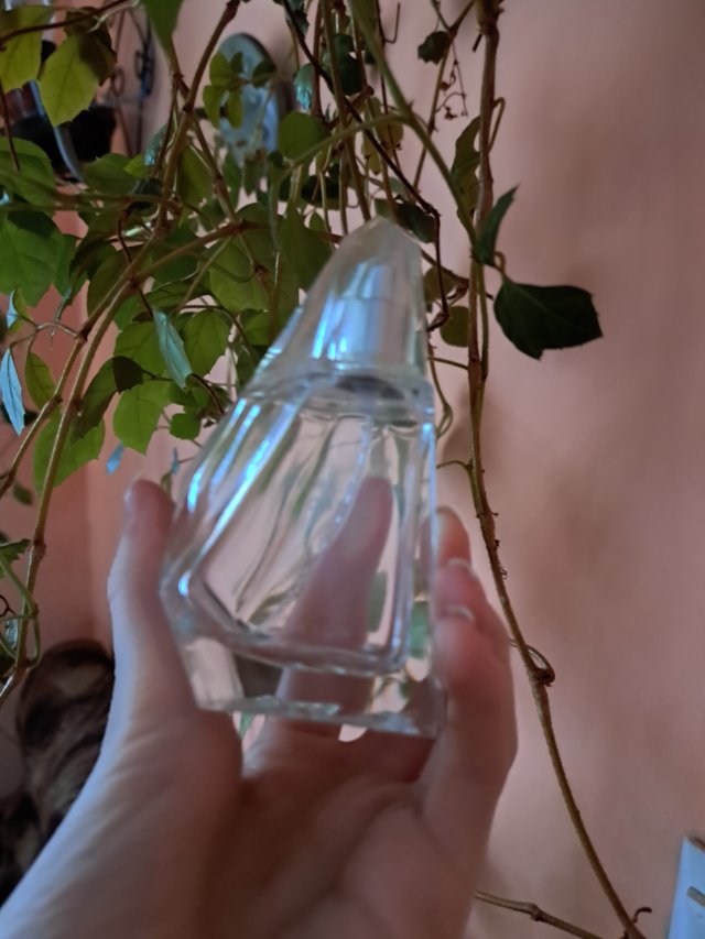 Avon Woda perfumowana, Perceive Oasis EDP