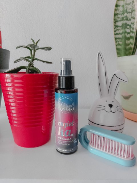 OnlyBio Hair in Balance, Mgiełka do włosów, Nabłyszczająca, Nawilżanie i Blask