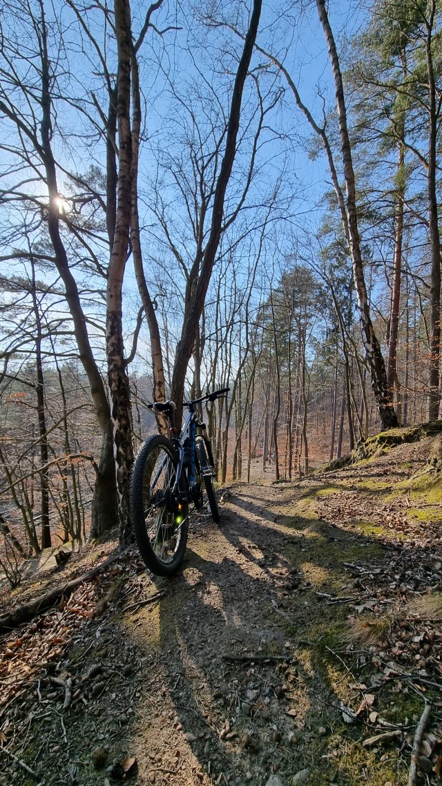 Wiosenne kręcenie km na rowerze