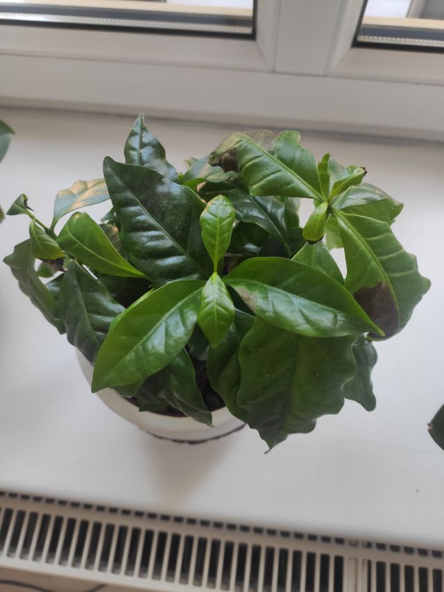 Kulturalne narzekanie na rzeczywistość! Uwaga - zawiera offtopy!