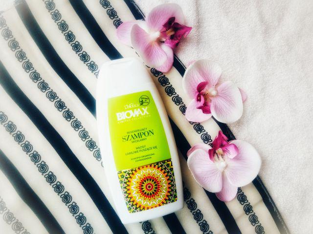 L'biotica Biovax, Limited Collection, Konopia organiczna & ashwagandha, Szampon micelarny do włosów, Regenerujący, Włosy łamliwe i puszące się