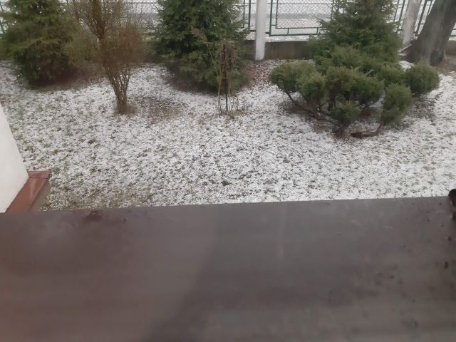 Zbieramy jajka - Wielkanoc 2020