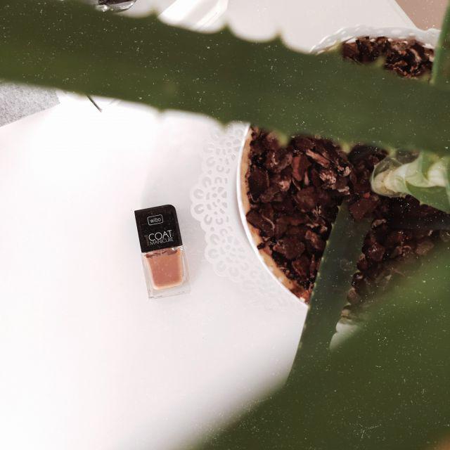 Wibo 1 Coat Manicure, Lakier do paznokci nr 19