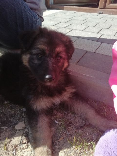 Jestem szczęśliwa bo..