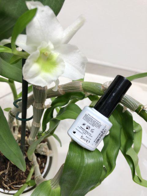 Lakier hybrydowy, #502 Dream of Love, HiHybrid 