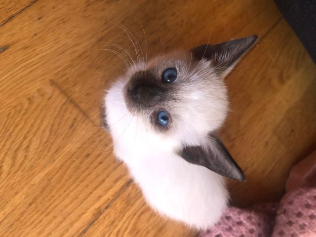 Jestem szczęśliwa bo..