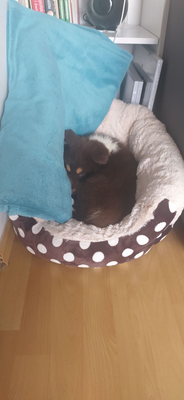 Jestem szczęśliwa bo..