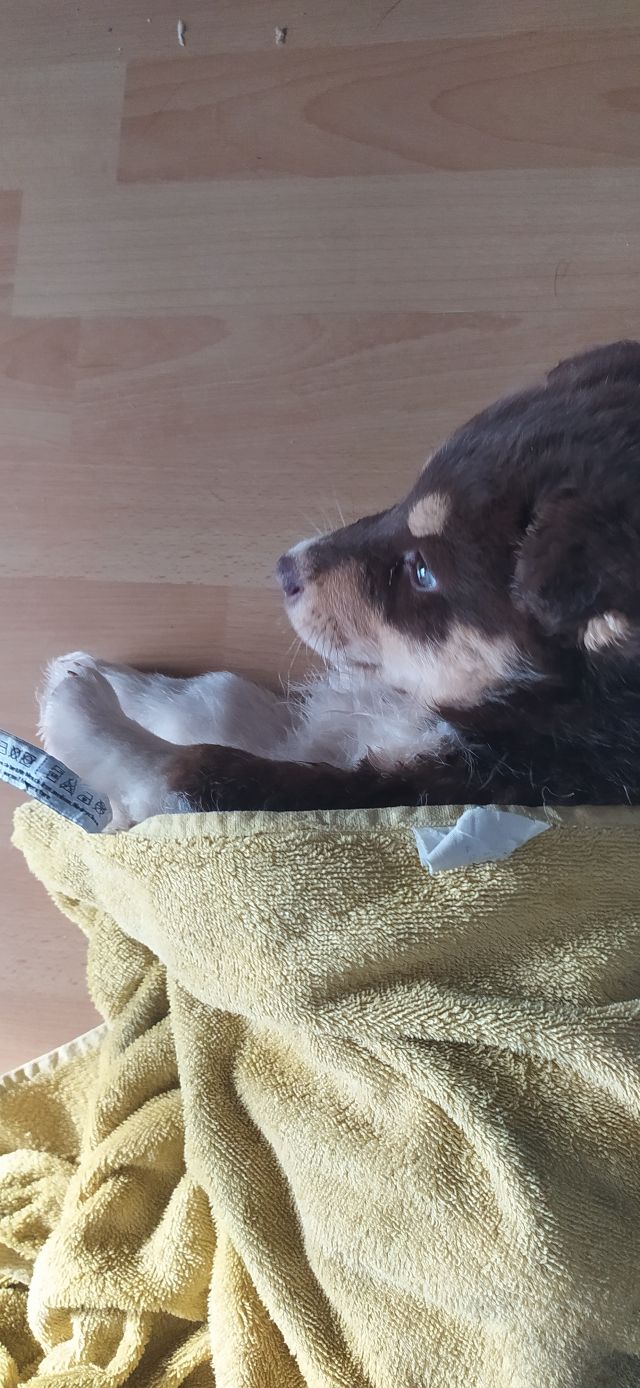 Jestem szczęśliwa bo..