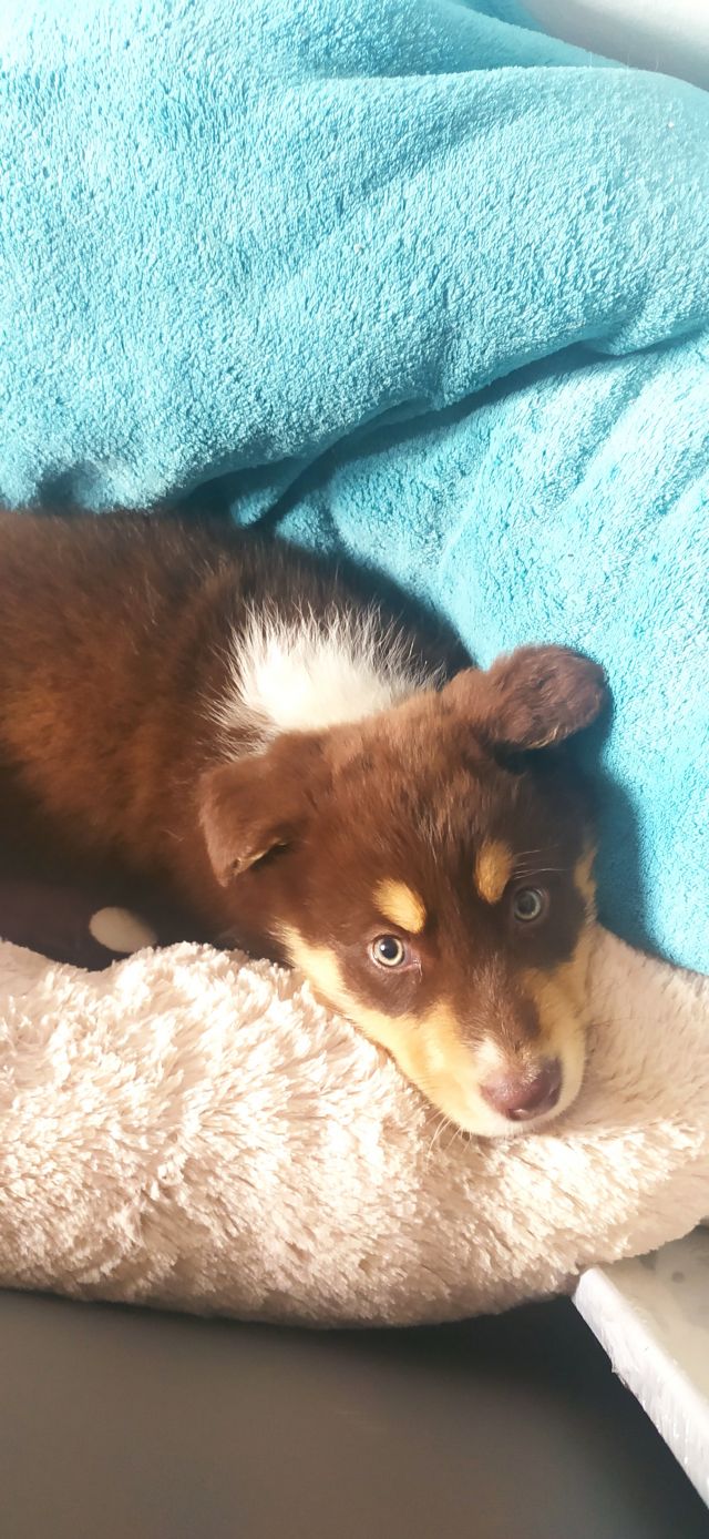 Jestem szczęśliwa bo..