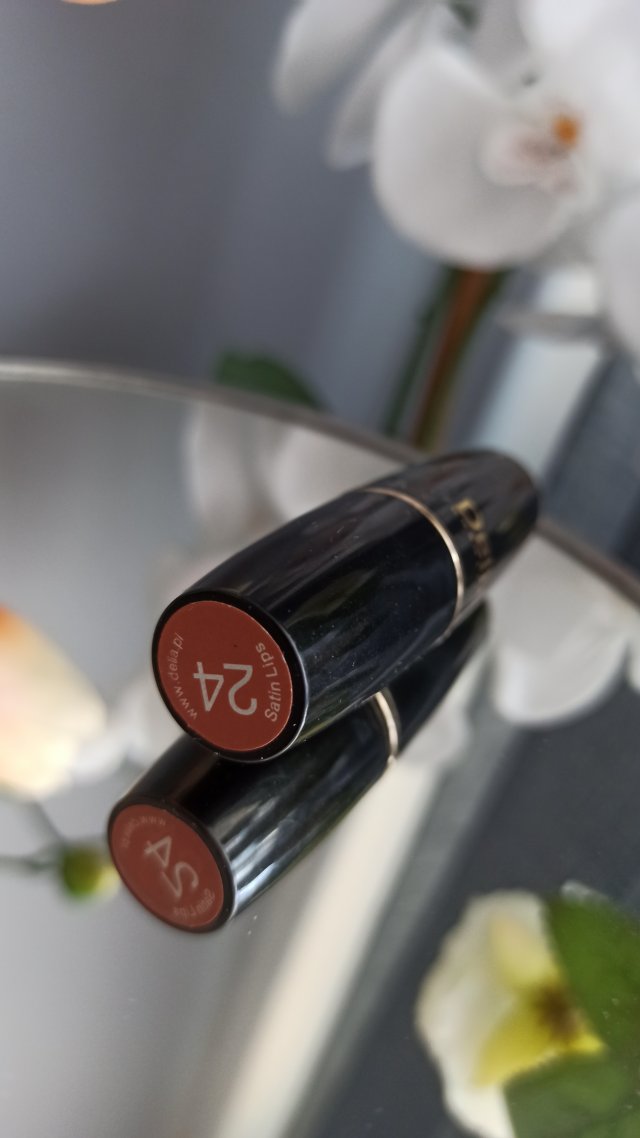 Delia Satin Lips, Pomadka do ust, nr 24