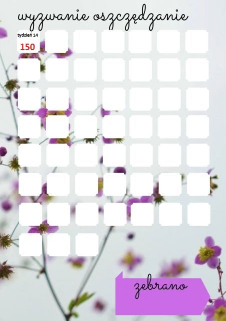  WYZWANIA FINANSOWE💸