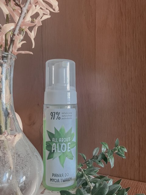 All About Aloe Pianka do mycia twarzy, Aloes