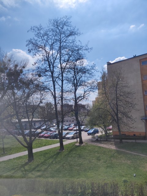 Jestem szczęśliwa bo..