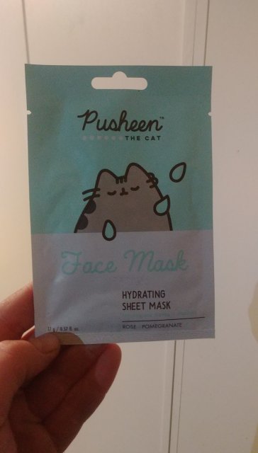Pusheen maseczka na tkaninie