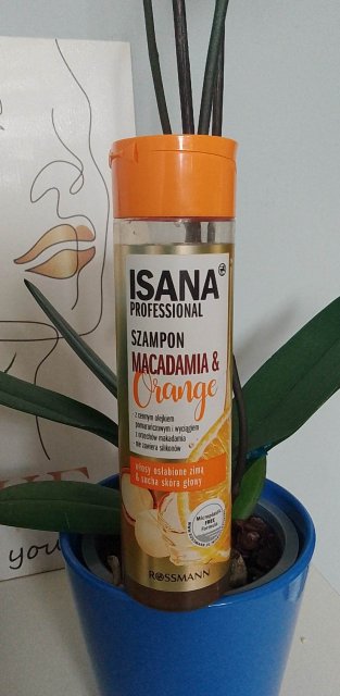 Szampon do włosów, Isana, Macadamia Orange