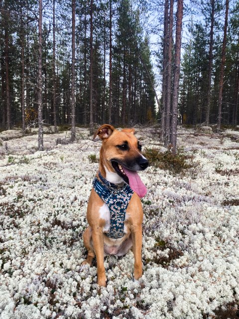 Pochwalmy się swoimi pupilkami :)