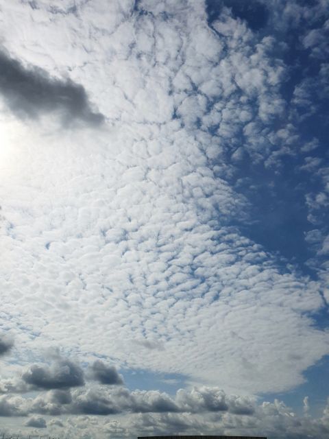 Majówka na Dresscloud! 