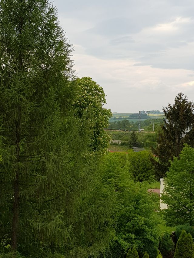 Jestem szczęśliwa bo..