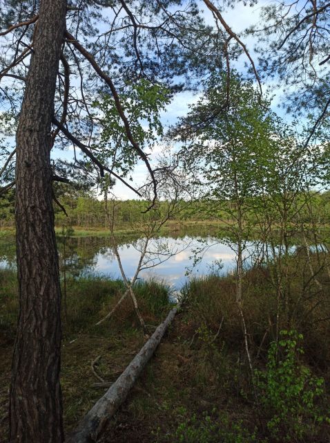 Koronawirus - zbiór przemyśleń w świetle ostatnich wydarzeń