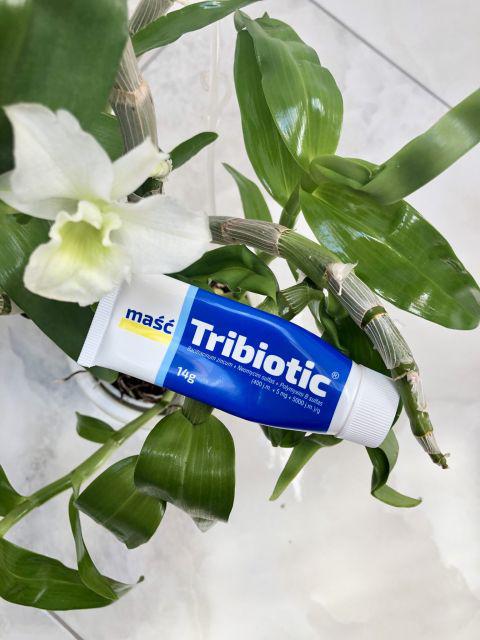 Maść antybakteryjna | Tribiotic